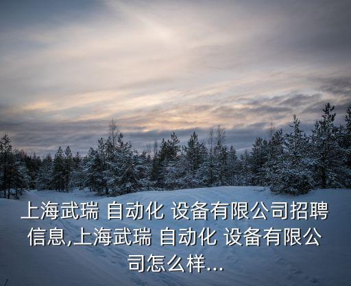 上海武瑞 自動(dòng)化 設(shè)備有限公司招聘信息,上海武瑞 自動(dòng)化 設(shè)備有限公司怎么樣...