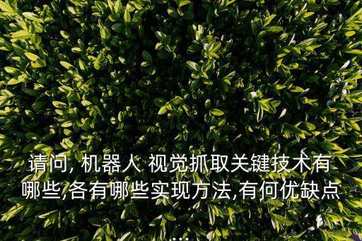 請問, 機(jī)器人 視覺抓取關(guān)鍵技術(shù)有哪些,各有哪些實(shí)現(xiàn)方法,有何優(yōu)缺點(diǎn)...