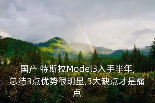 國產(chǎn) 特斯拉Model3入手半年,總結(jié)3點優(yōu)勢很明顯,3大缺點才是痛點