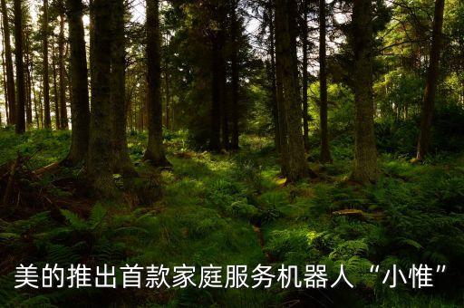 美的推出首款家庭服務(wù)機(jī)器人“小惟”