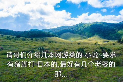 請哥們介紹幾本網(wǎng)游類的 小說~要求有豬腳打 日本的,最好有幾個老婆的那...