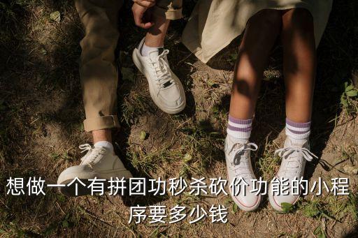 想做一個(gè)有拼團(tuán)功秒殺砍價(jià)功能的小程序要多少錢