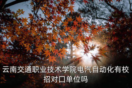 自動化專業(yè)畢業(yè)招聘,電氣自動化專業(yè)畢業(yè)去哪些單位找工作?