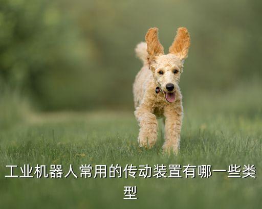 常見機(jī)器人驅(qū)動器主要,工業(yè)機(jī)器人有何用?