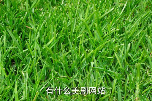 有什么美劇網站