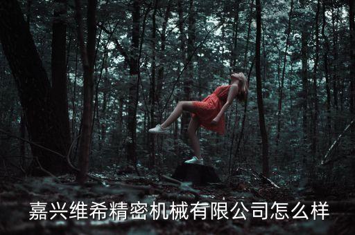  嘉興維希精密機(jī)械有限公司怎么樣