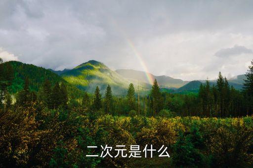 二次元自動(dòng)化設(shè)備