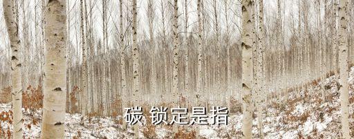 碳 鎖定是指