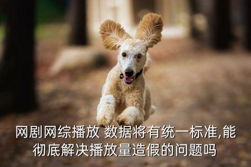 網劇網綜播放 數據將有統(tǒng)一標準,能徹底解決播放量造假的問題嗎