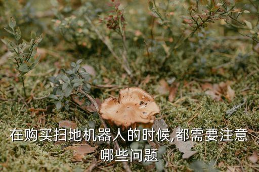 在購買掃地機器人的時候,都需要注意哪些問題