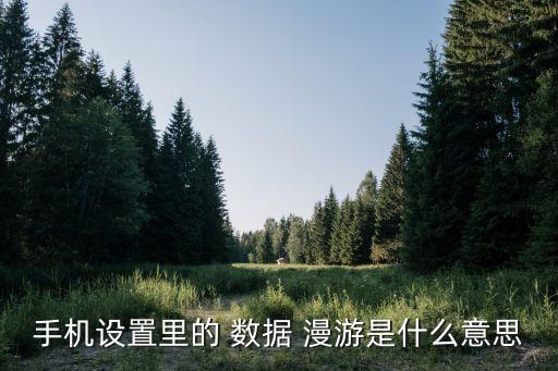 手機(jī)設(shè)置里的 數(shù)據(jù) 漫游是什么意思