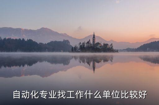 自動(dòng)化專業(yè)找工作什么單位比較好