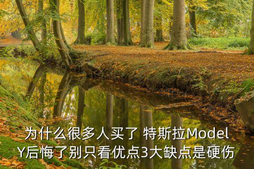 為什么很多人買了 特斯拉ModelY后悔了別只看優(yōu)點3大缺點是硬傷