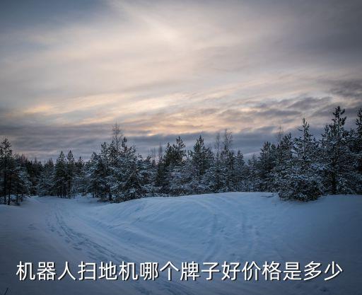 機(jī)器人掃地機(jī)哪個(gè)牌子好價(jià)格是多少