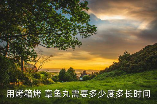 章魚(yú)丸子自動(dòng)化設(shè)備,江蘇章魚(yú)自動(dòng)化設(shè)備有限公司