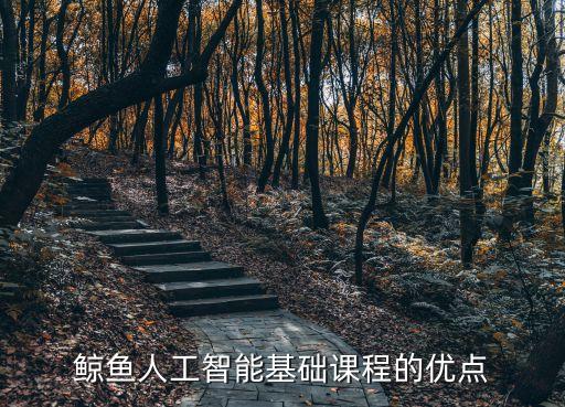 鯨魚人工智能基礎(chǔ)課程的優(yōu)點(diǎn)