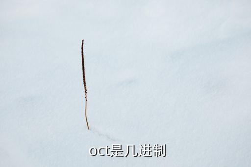  oct是幾進(jìn)制