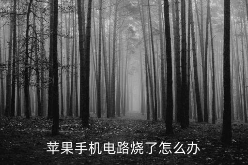 蘋果手機電路燒了怎么辦