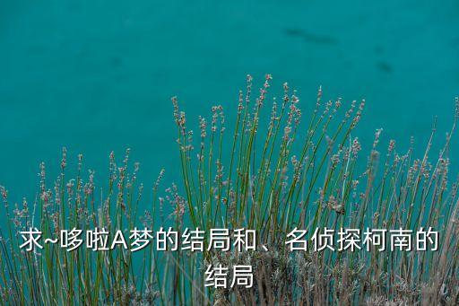 求~哆啦A夢(mèng)的結(jié)局和、名偵探柯南的結(jié)局