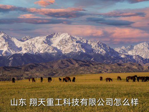 山東 翔天重工科技有限公司怎么樣