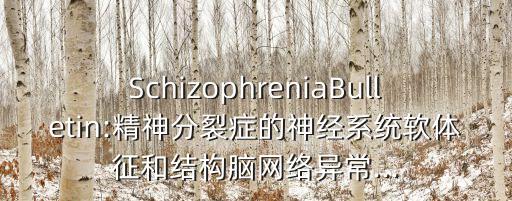 數(shù)據(jù)神經(jīng)系統(tǒng),什么是整個電腦神經(jīng)系統(tǒng)?
