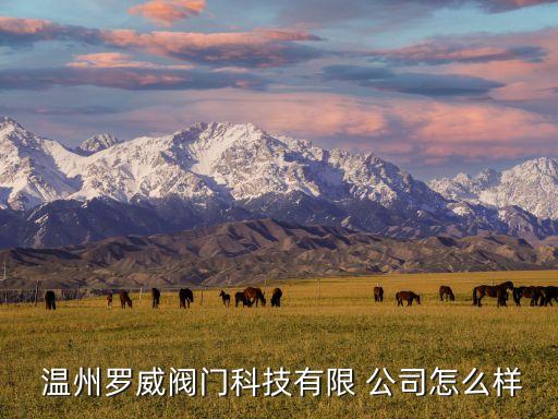 溫州一站式自動化營銷公司