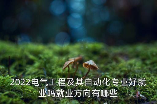 2022電氣工程及其自動(dòng)化專業(yè)好就業(yè)嗎就業(yè)方向有哪些
