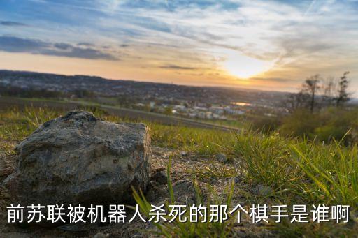 深藍機器人下象棋視頻,進化者象棋機器人怎么和主人下棋?
