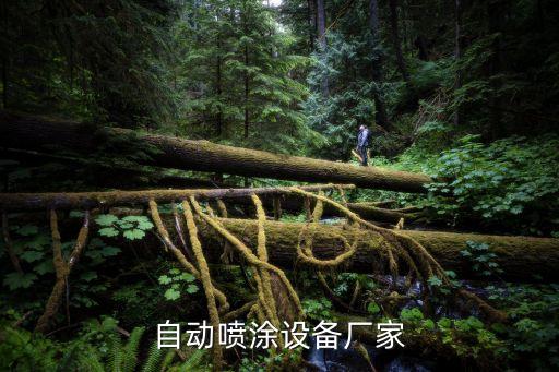 自動(dòng)噴涂設(shè)備廠家