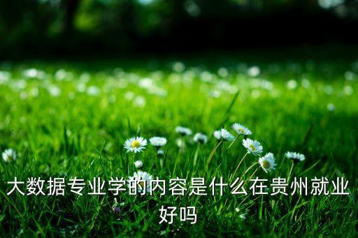 大數(shù)據(jù)專業(yè)學的內容是什么在貴州就業(yè)好嗎