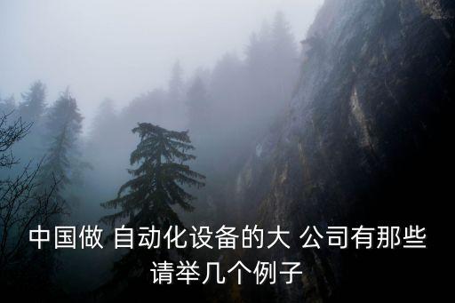 中國做 自動(dòng)化設(shè)備的大 公司有那些請(qǐng)舉幾個(gè)例子