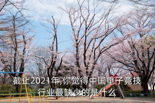 截止2021年,你覺得中國電子競技行業(yè)最缺少的是什么