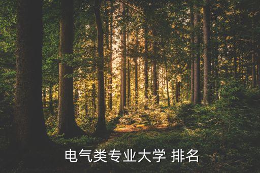  電氣類專業(yè)大學 排名