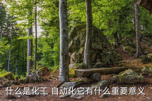 什么是化工 自動(dòng)化它有什么重要意義