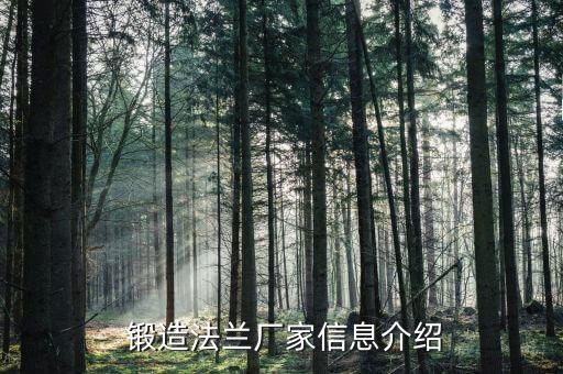  鍛造法蘭廠家信息介紹