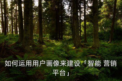如何運用用戶畫像來建設「智能 營銷平臺」