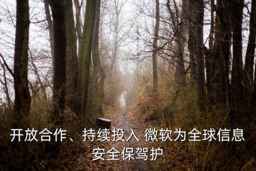 微軟大數(shù)據(jù) 福州,微軟數(shù)據(jù)將在國(guó)外處理
