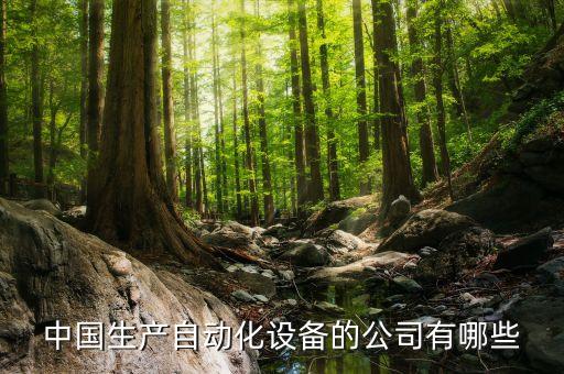 深圳自動(dòng)化設(shè)備制造廠,深圳邁瑞自動(dòng)化設(shè)備有限公司怎么樣?