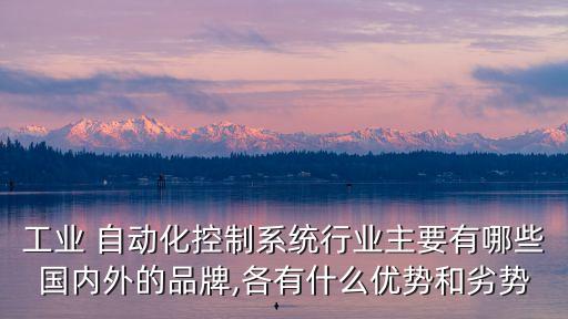 工業(yè) 自動(dòng)化控制系統(tǒng)行業(yè)主要有哪些國(guó)內(nèi)外的品牌,各有什么優(yōu)勢(shì)和劣勢(shì)