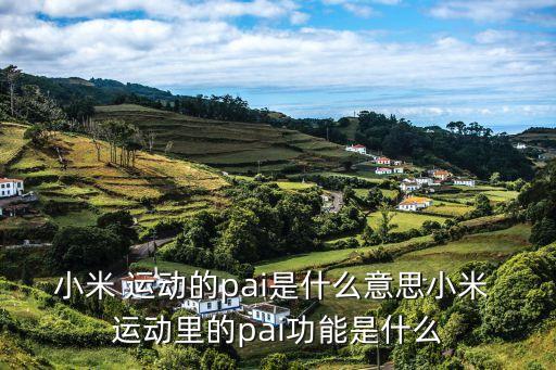 小米 運(yùn)動(dòng)的pai是什么意思小米 運(yùn)動(dòng)里的pai功能是什么