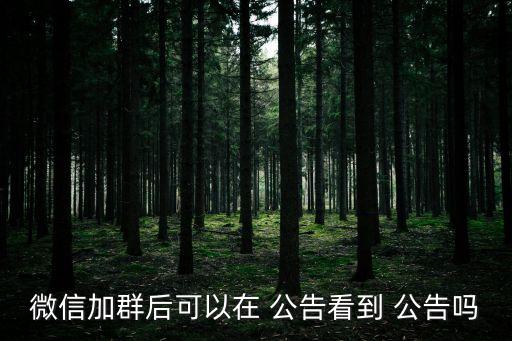 微信加群后可以在 公告看到 公告嗎