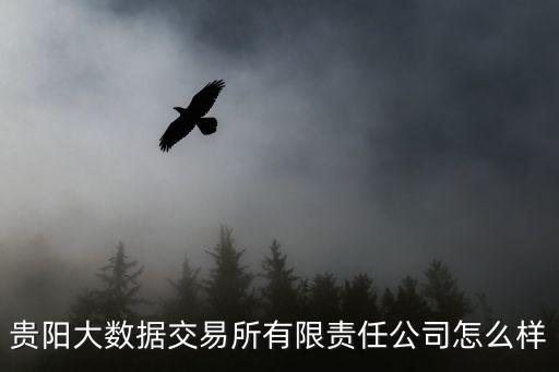 貴陽大數據交易所有限責任公司怎么樣
