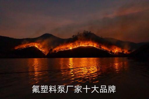 氟塑料泵廠家十大品牌