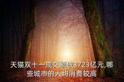 天貓雙十一成交額破3723億元,哪些城市的人均消費(fèi)較高