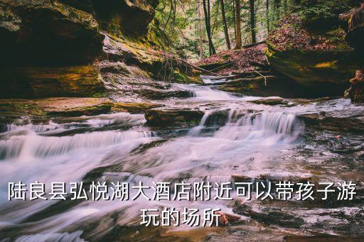 陸良縣弘悅湖大酒店附近可以帶孩子游玩的場所