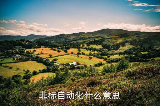 非標(biāo)自動化什么意思
