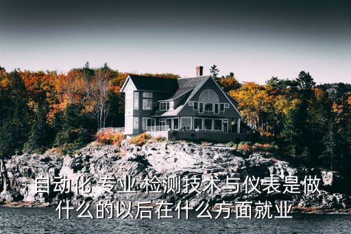  自動(dòng)化 專業(yè) 檢測(cè)技術(shù)與儀表是做什么的以后在什么方面就業(yè)