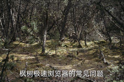 楓樹(shù)瀏覽器個(gè)人數(shù)據(jù),楓樹(shù)極速瀏覽器雙核意味著什么?