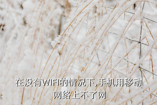 在沒有WIFI的情況下,手機用移動 網(wǎng)絡(luò)上不了網(wǎng)