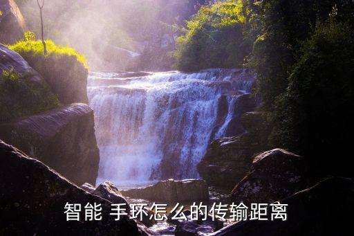 運(yùn)動手環(huán)數(shù)據(jù)庫設(shè)計(jì)